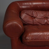 Sofa and a caramel leather armchair
