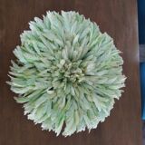 Juju hat light green