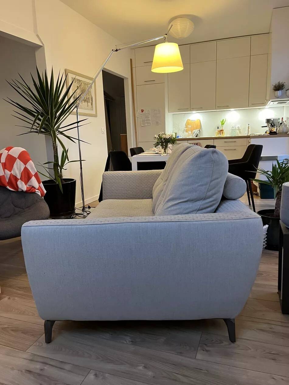 Roche Bobois sofa
