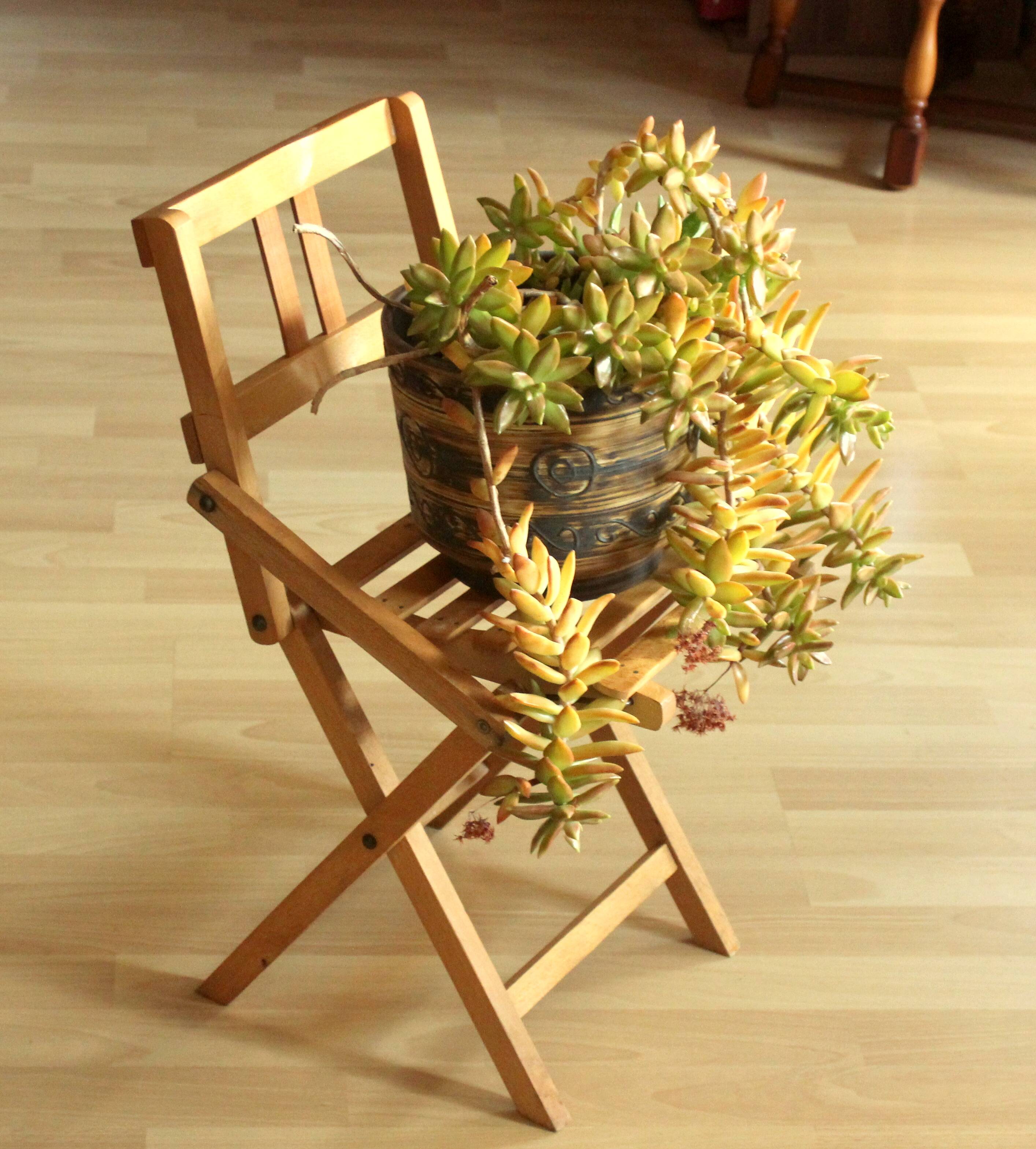 Foldable wooden children stool - Vintage from the 60s