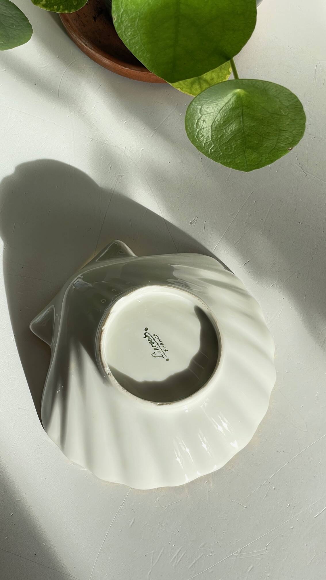 Shell-shaped empty pocket Limoges FRANCE