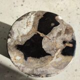 Side table in petrified wood