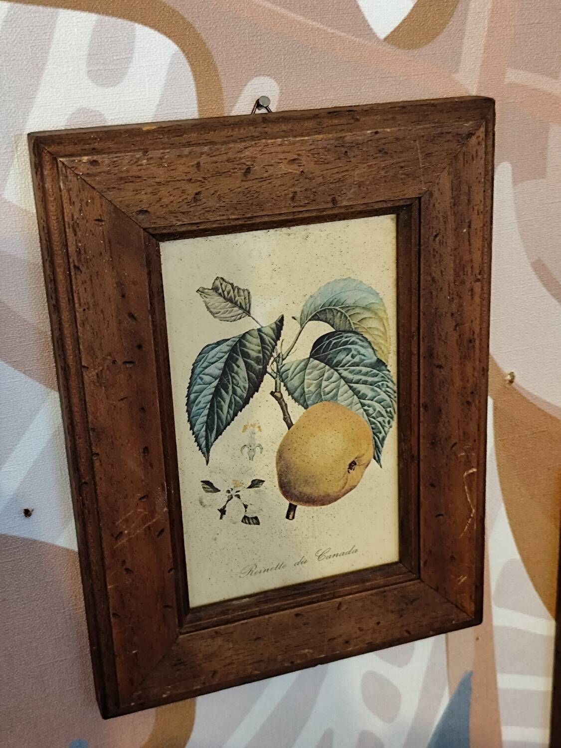 Set of three small framed fruit prints