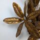 Golden leaf wall light 1970
