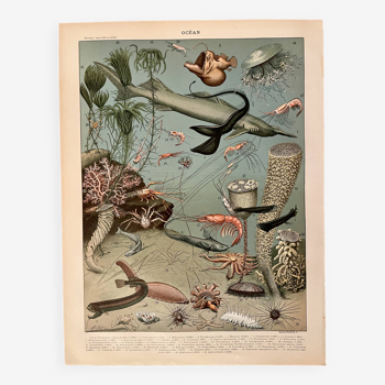 Lithograph on the ocean (depths) - 1900