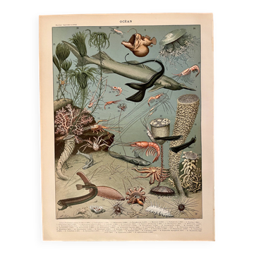 Lithographie sur l'océan (profondeurs) - 1900