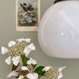 Vintage globe pendant lamp in white opaline