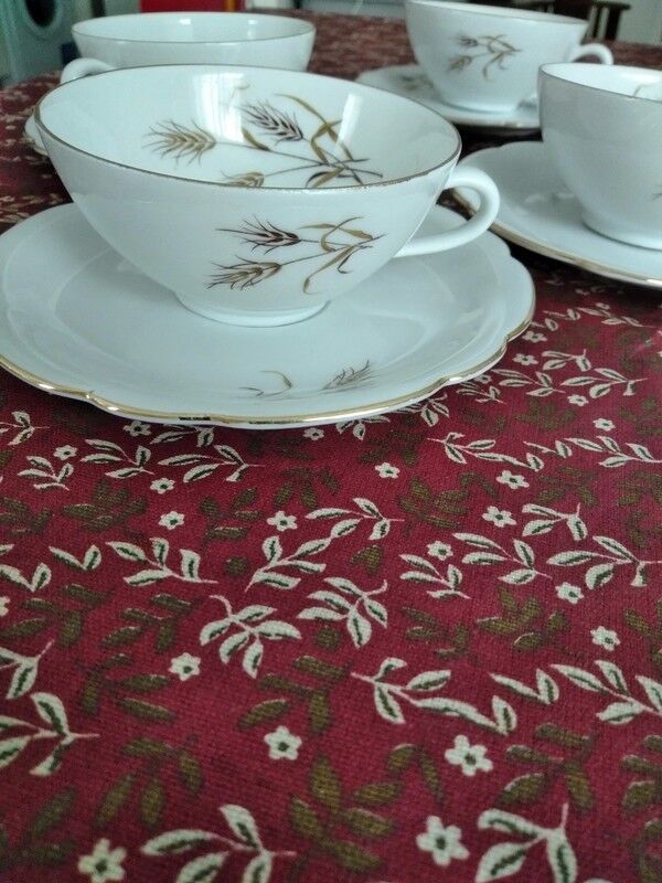 4 cups and saucers in Bavaria porcelain