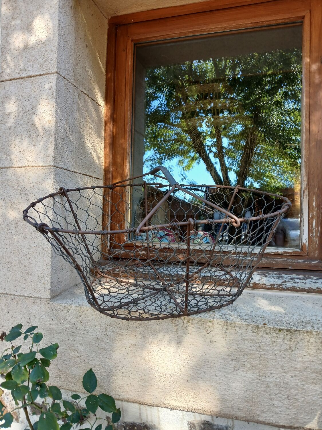 Antique metal basket + wire
