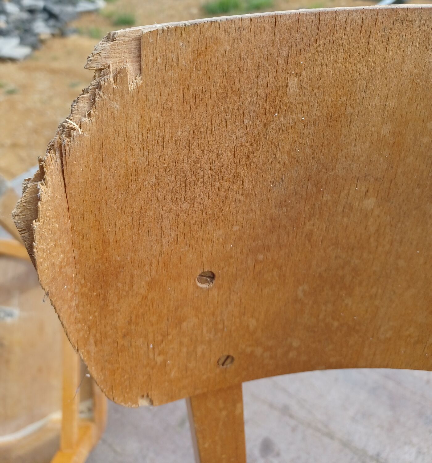 Thonet chairs 1950/1960