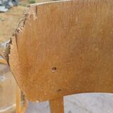 Thonet chairs 1950/1960