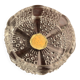 Coupelle verre pressé hobnail – Made in England – victorien – vintage angla