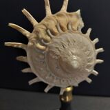 Cabinet of Curiosities stellaria solaris shell on base