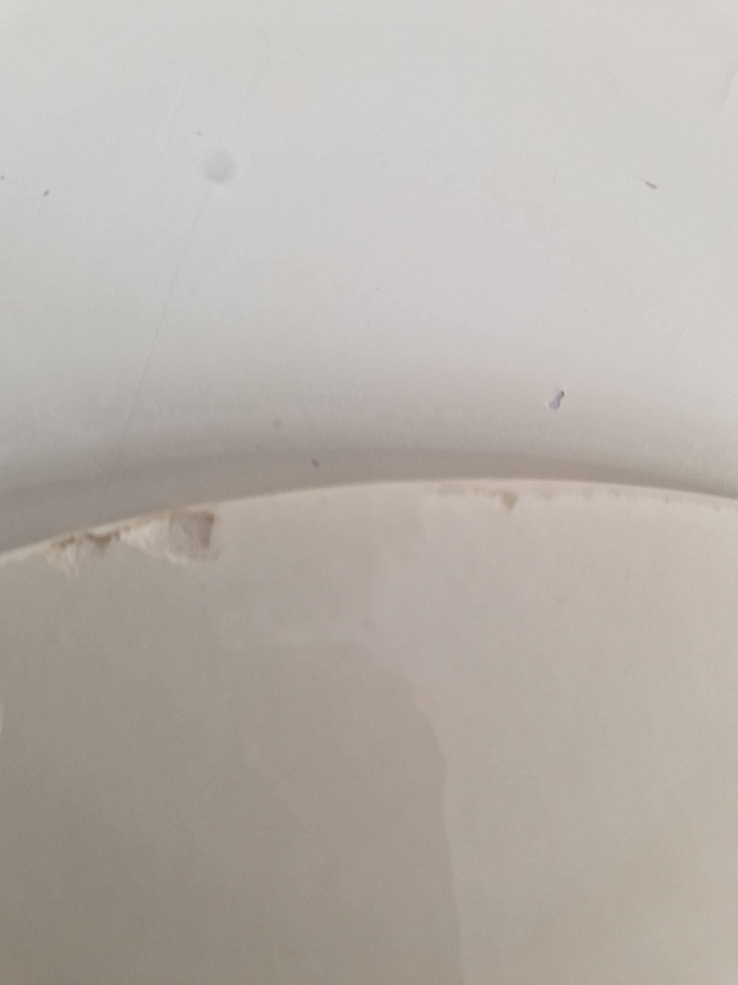 Set of 2 Deep Plates Villeroy and Boch Model Diana