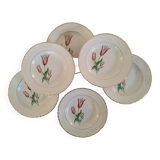 Old earthenware hollow plates Moulin des loups Orchies vintage tulip model