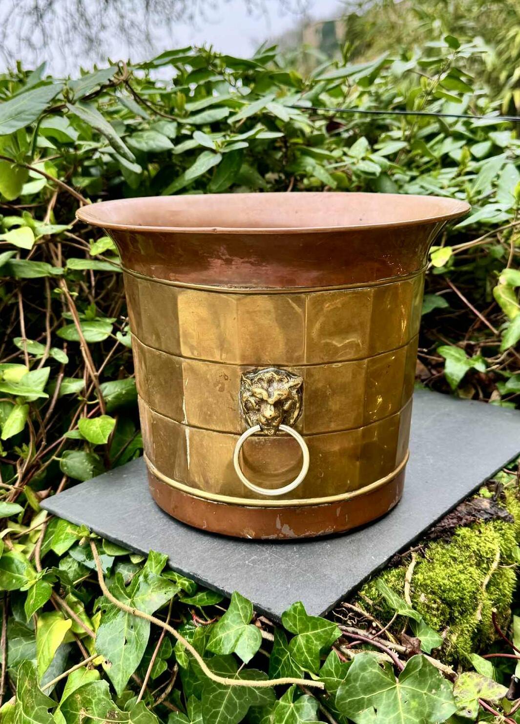 Large brass champagne bucket with baroque lion from the 19th century.