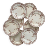 8 Ridgways England Royal Semi Porcelain "Eton" Ironstone Dinner Plates