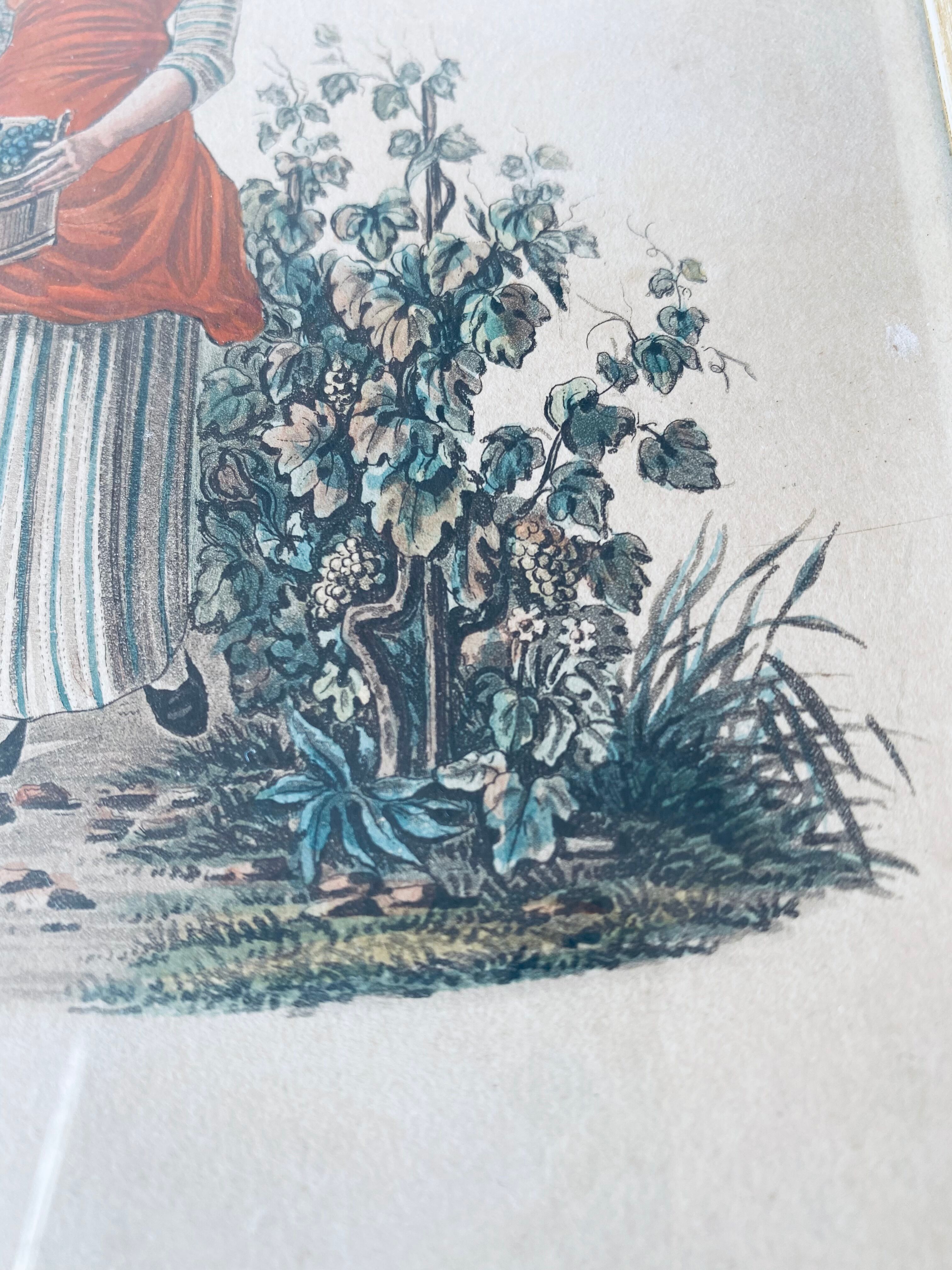 Framed antique engraving, harvest scene