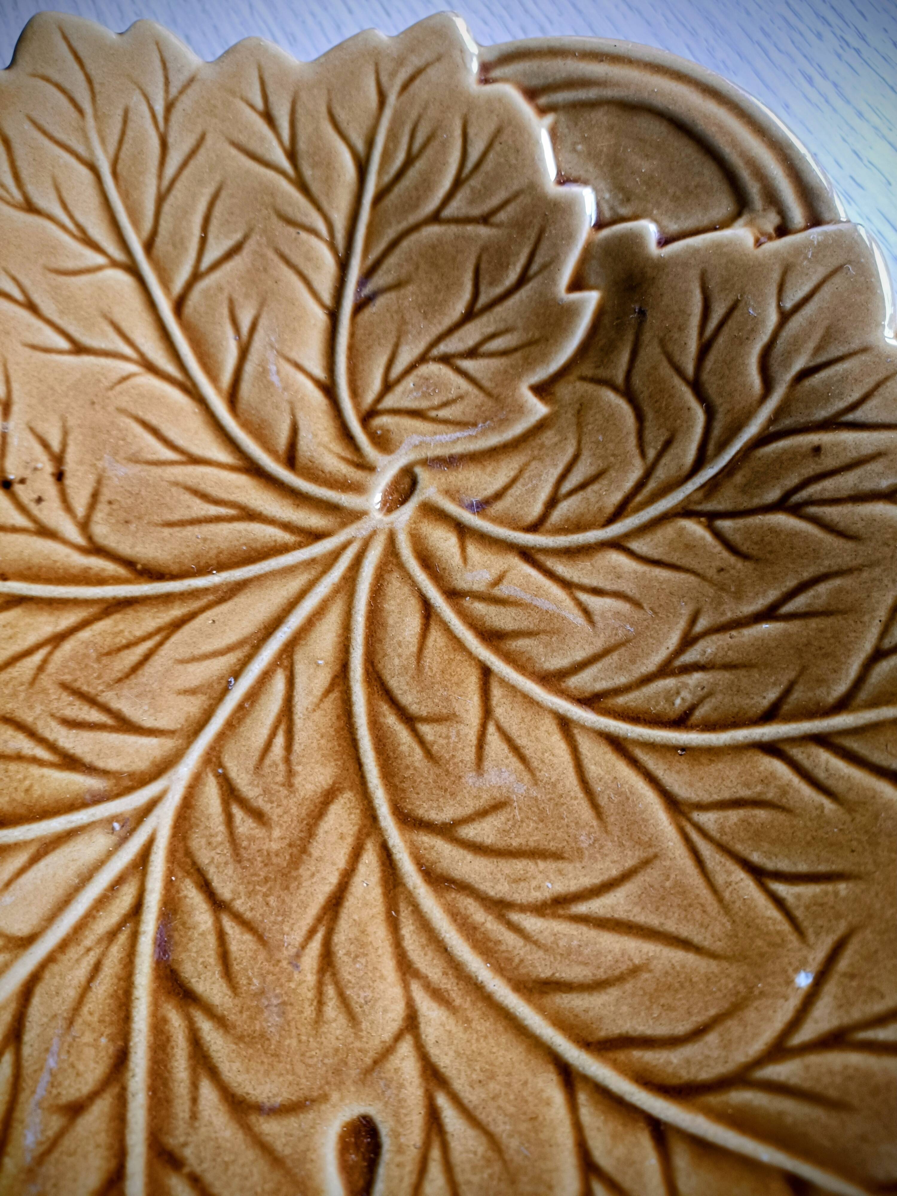 Plate barbotine vine leaf