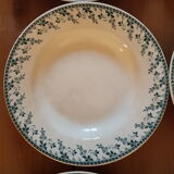 7 assiettes creuses Terre de fer