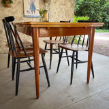 Scandinavian table teak and lemon tree Italian extensions