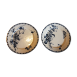 Pair of earthenware plates decorated with flowers