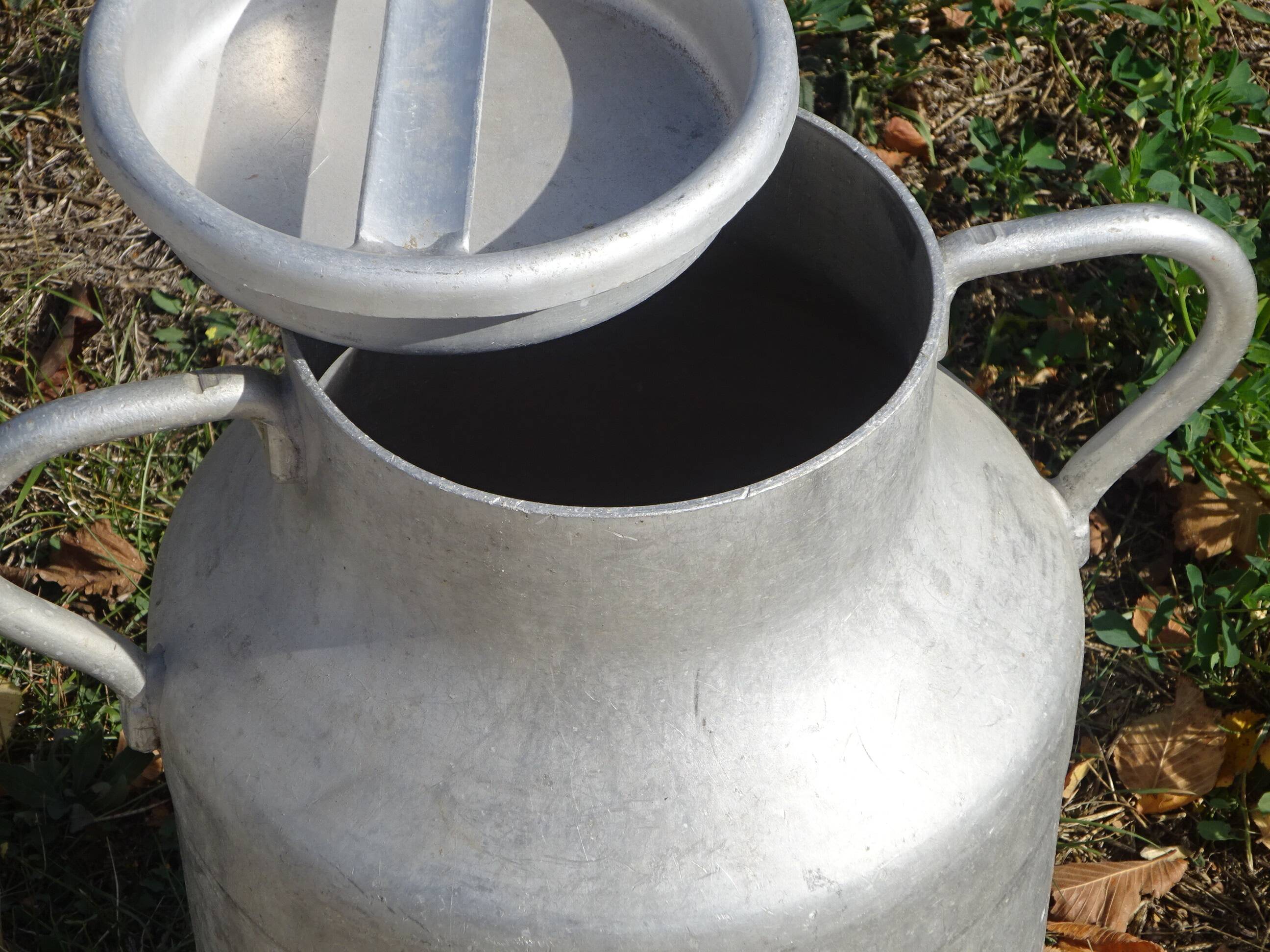 Old milk jug, 20L, Japy