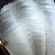 Wall lamp shell art deco in bronze and thick frost glass