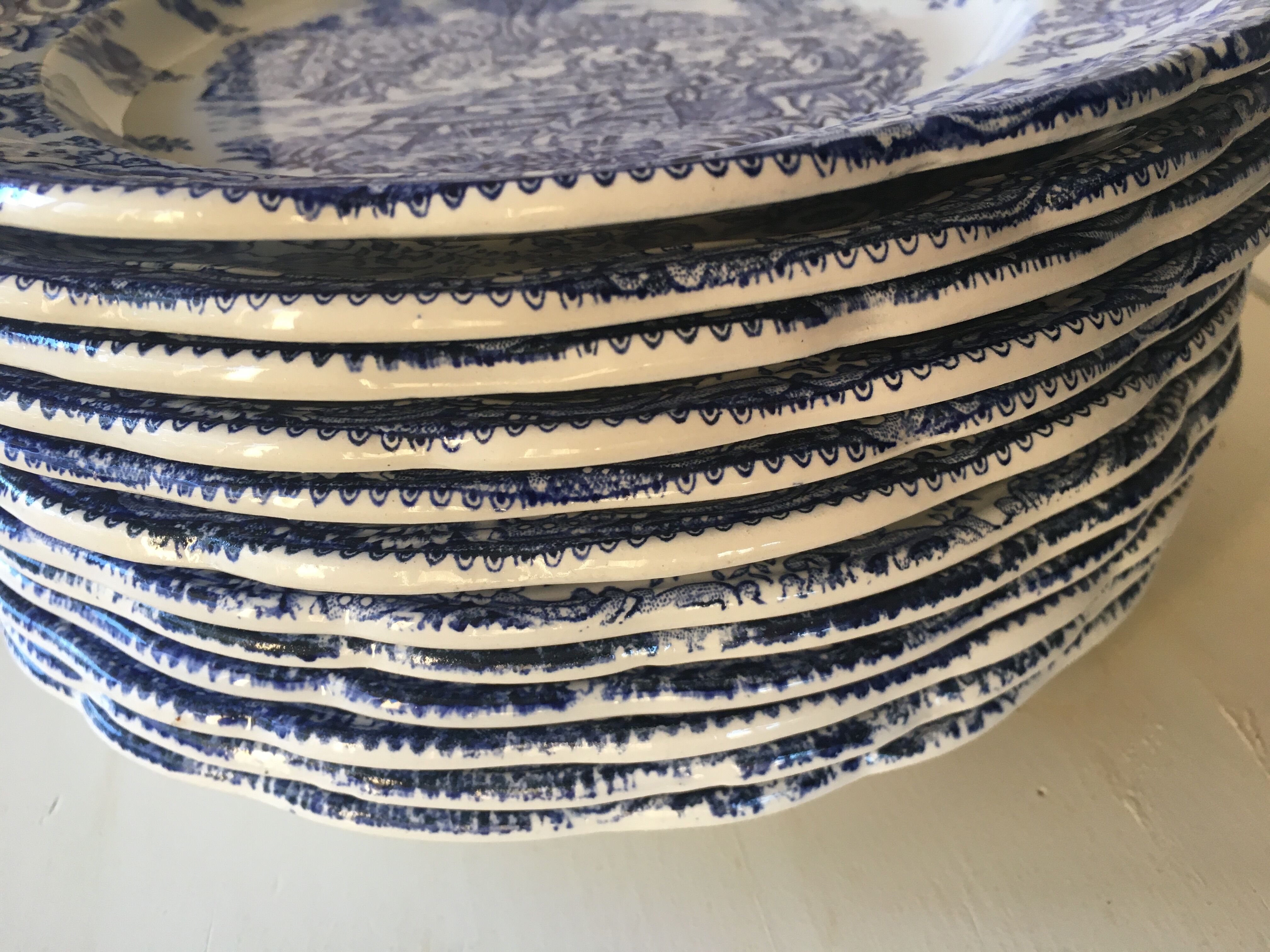 Set of 12 FLAT PLATES BP with blue country décor