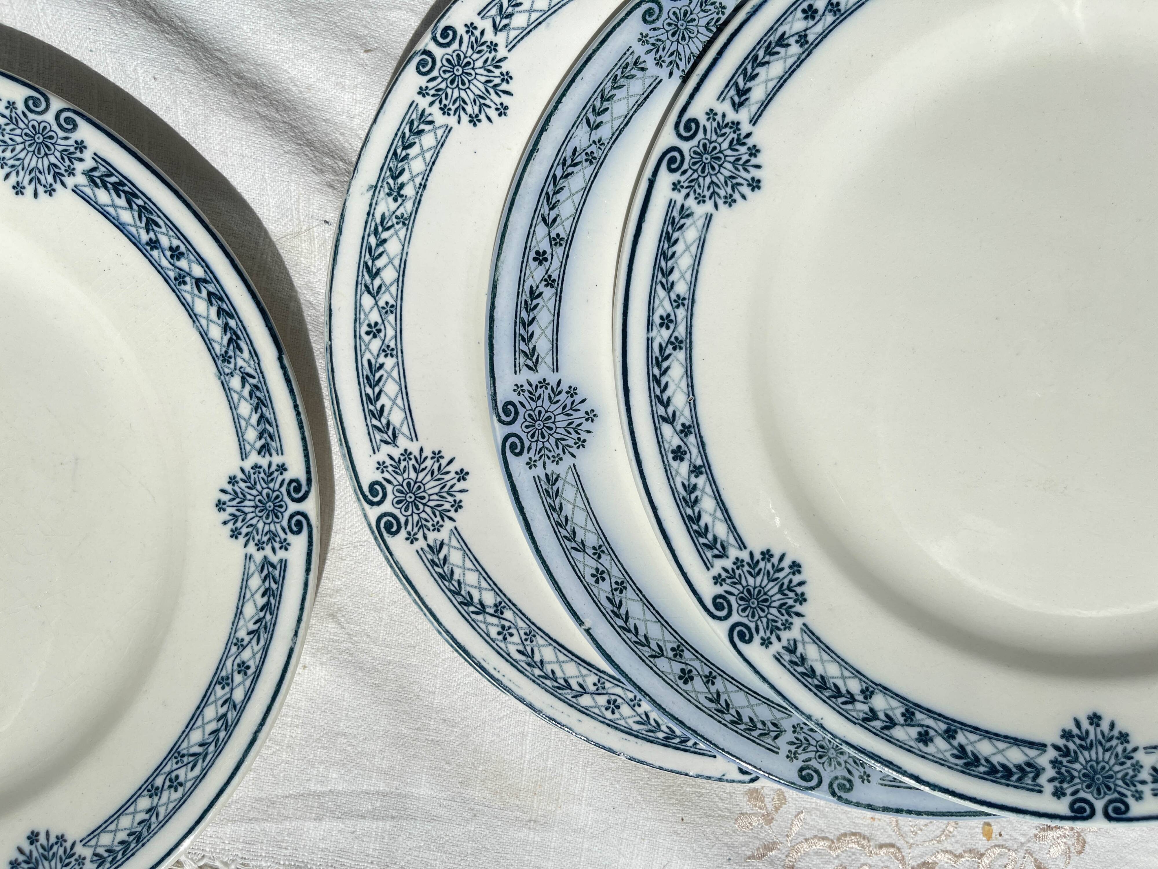 6 Flat plates Terre de fer bleu Salins model Arbois Ennege
