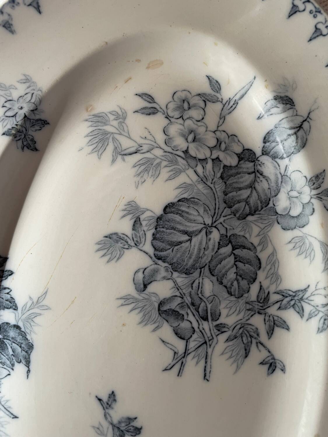 Flat plates and platter terre de fer sarreguemines uc flore model