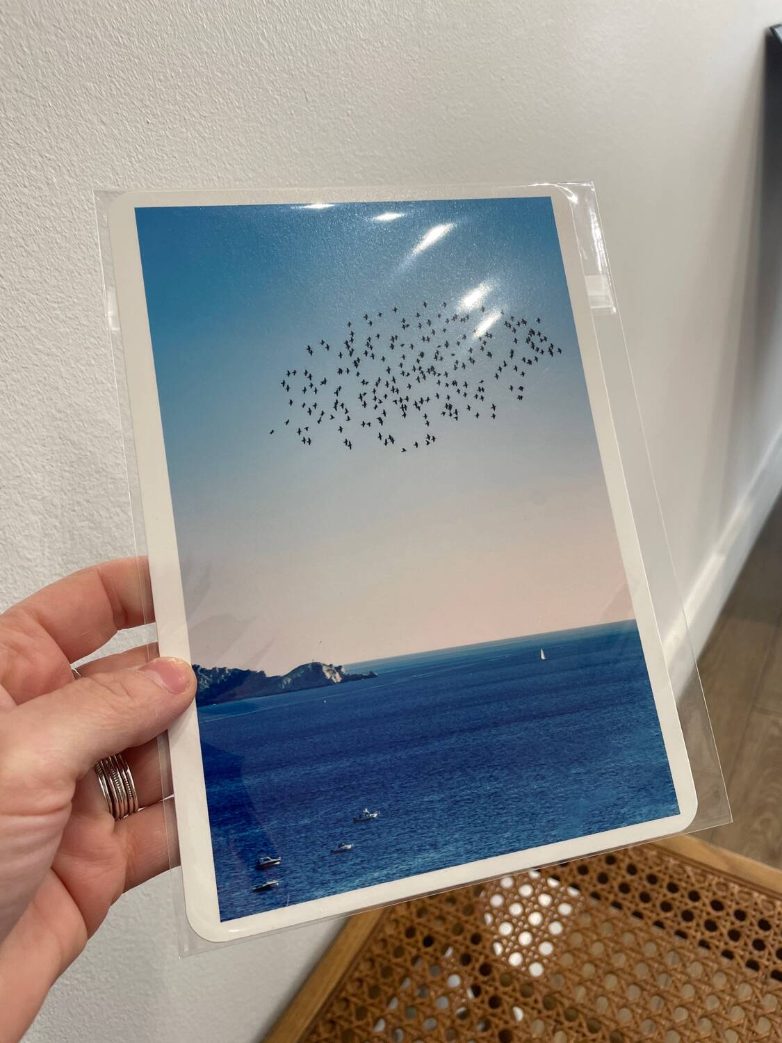 Photo Alice Ducheix - Gallery Zones