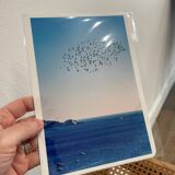 Photo Alice Ducheix - Gallery Zones