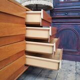 Czech chest of drawers Jiri Jiroutek, 1960, Scandinavian style, U453