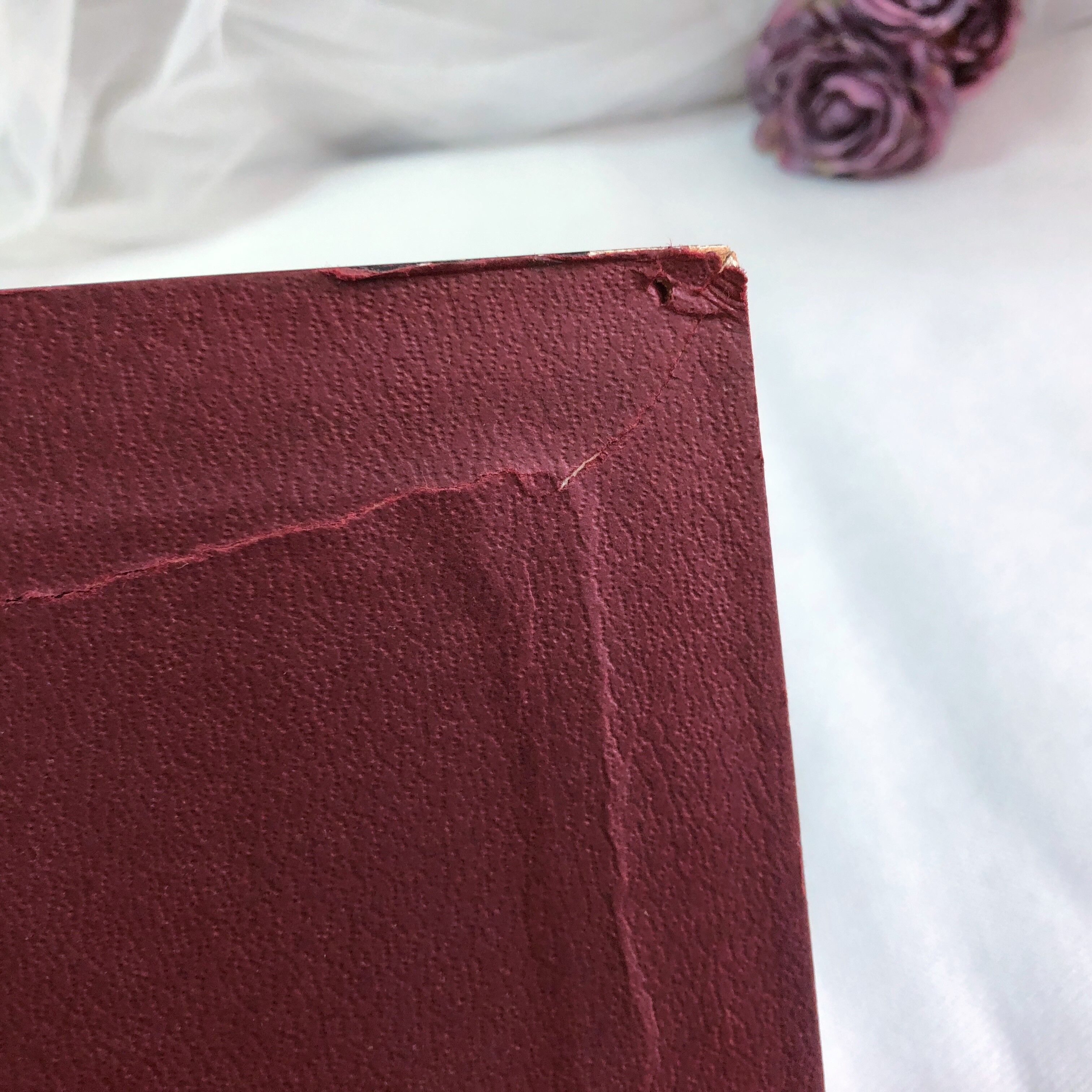 Painting on silk by JB Perronneau