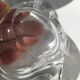 Vannes crystal fish pocket emptier