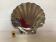 Shell-shaped pocket ashtray H