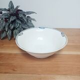 Large bowl iron earth Saint Amand