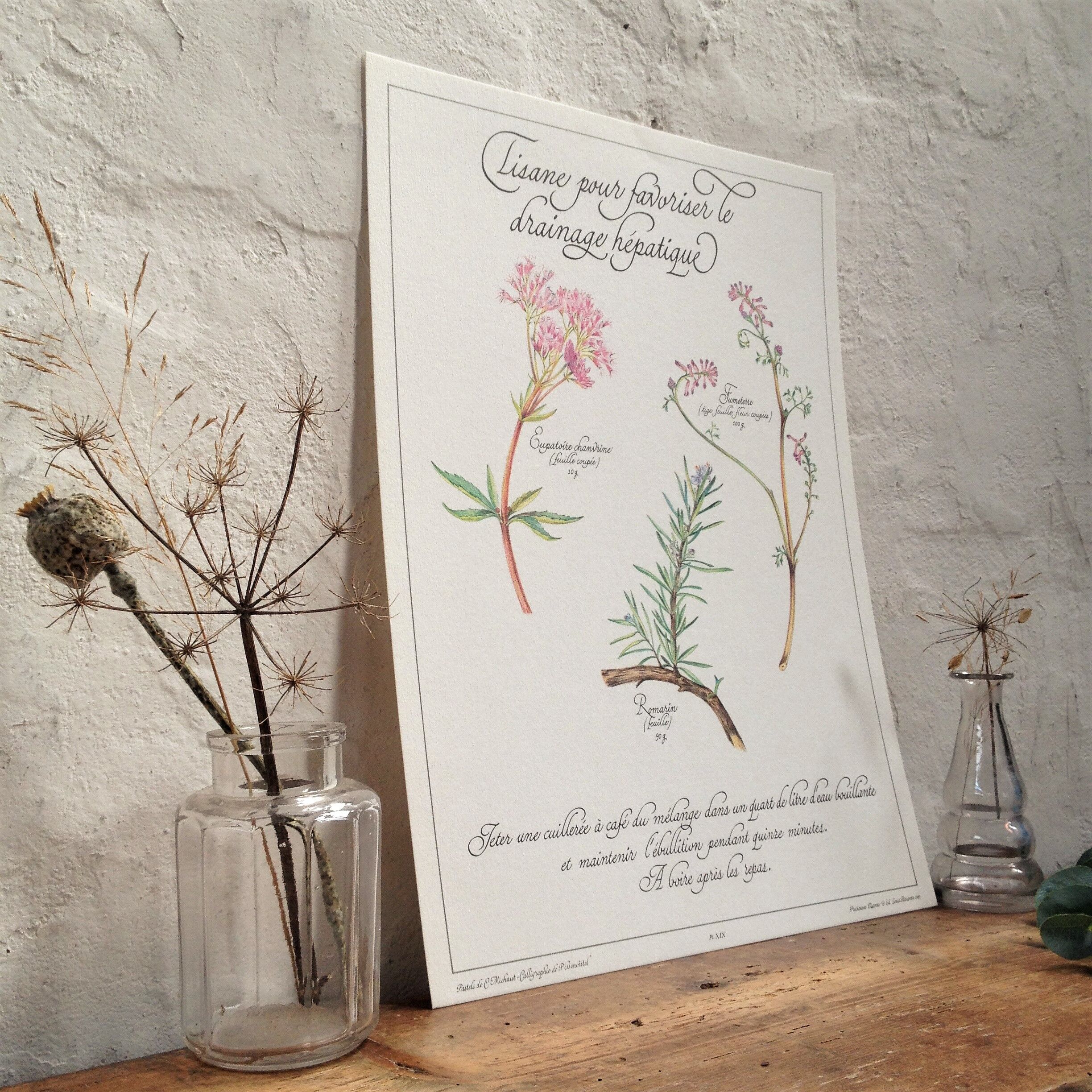 Botanical poster