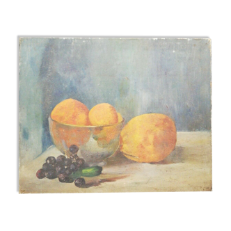 Oil on canvas still life XX