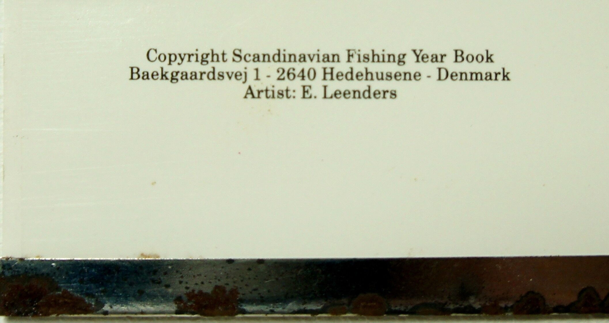 Scandinavian Fishing Year Book educational poster