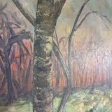 Oil on canvas landscape, 49 x 67 cm signature to be identified