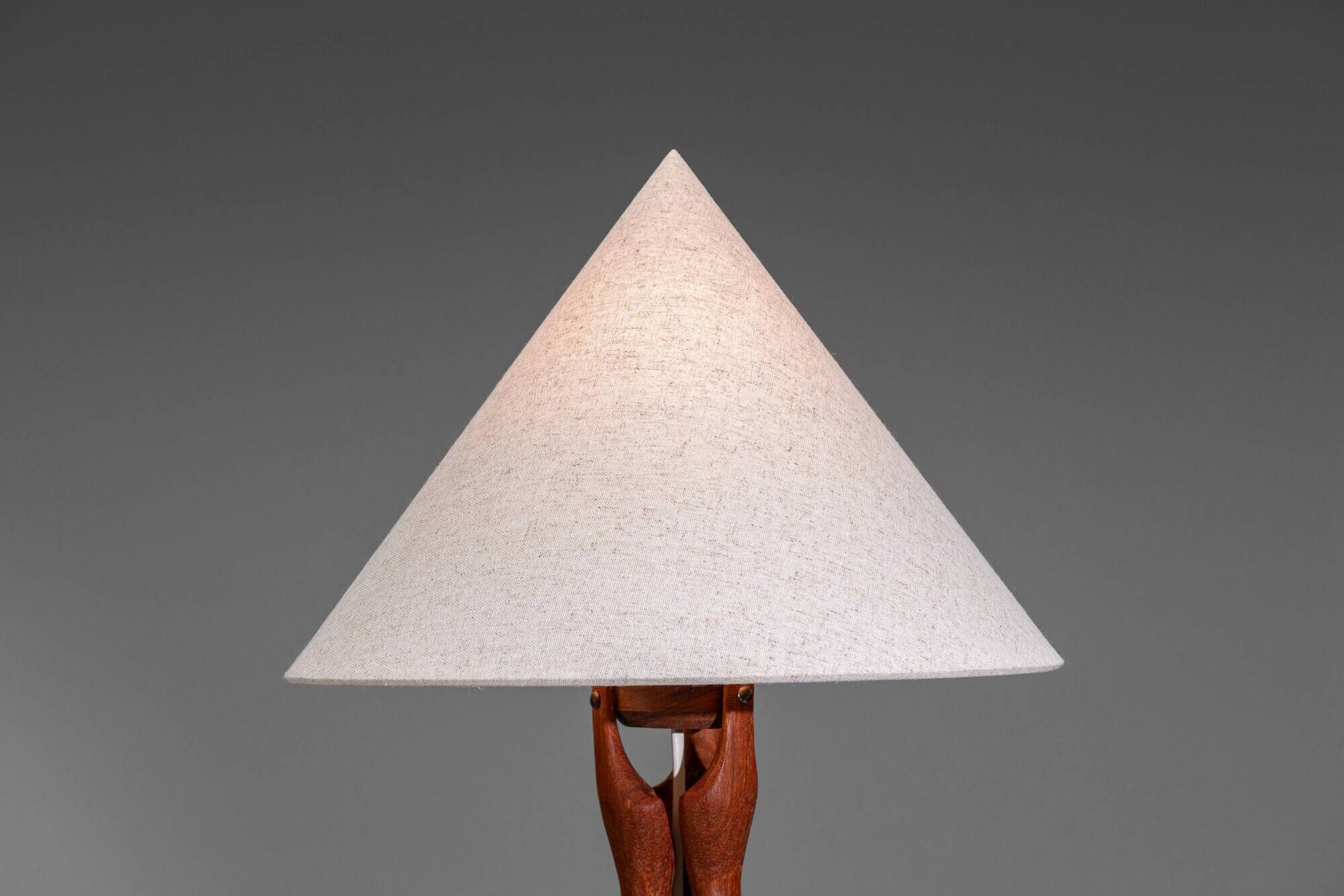 Organic form sculptural teak table lamp
