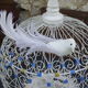 Cage has birds vintage, in wood and metal, painted in blue and white