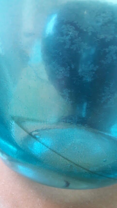 Blue demijohn
