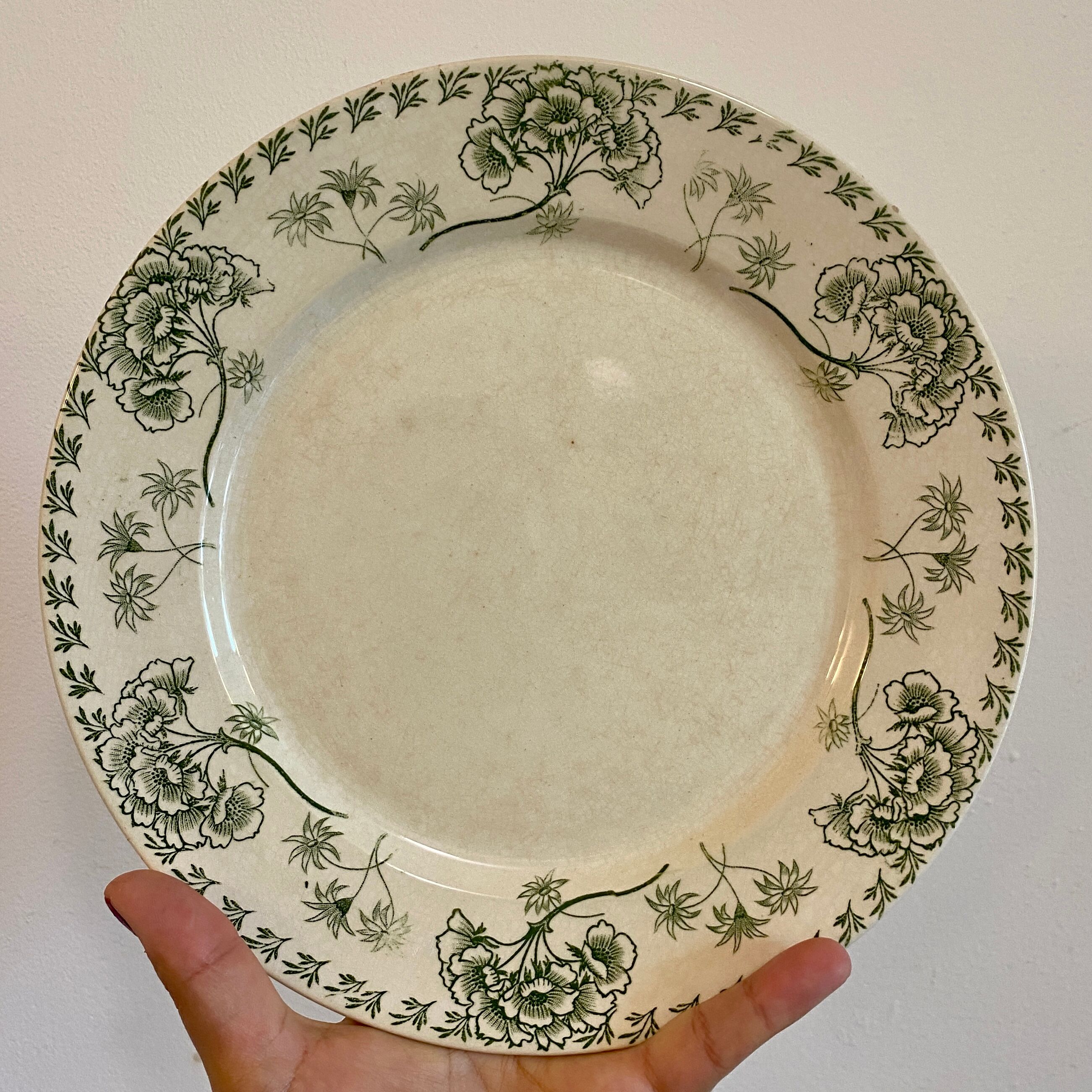 Set of 8 vintage plates in palmyre de sarreguemines iron earth (lot 3)