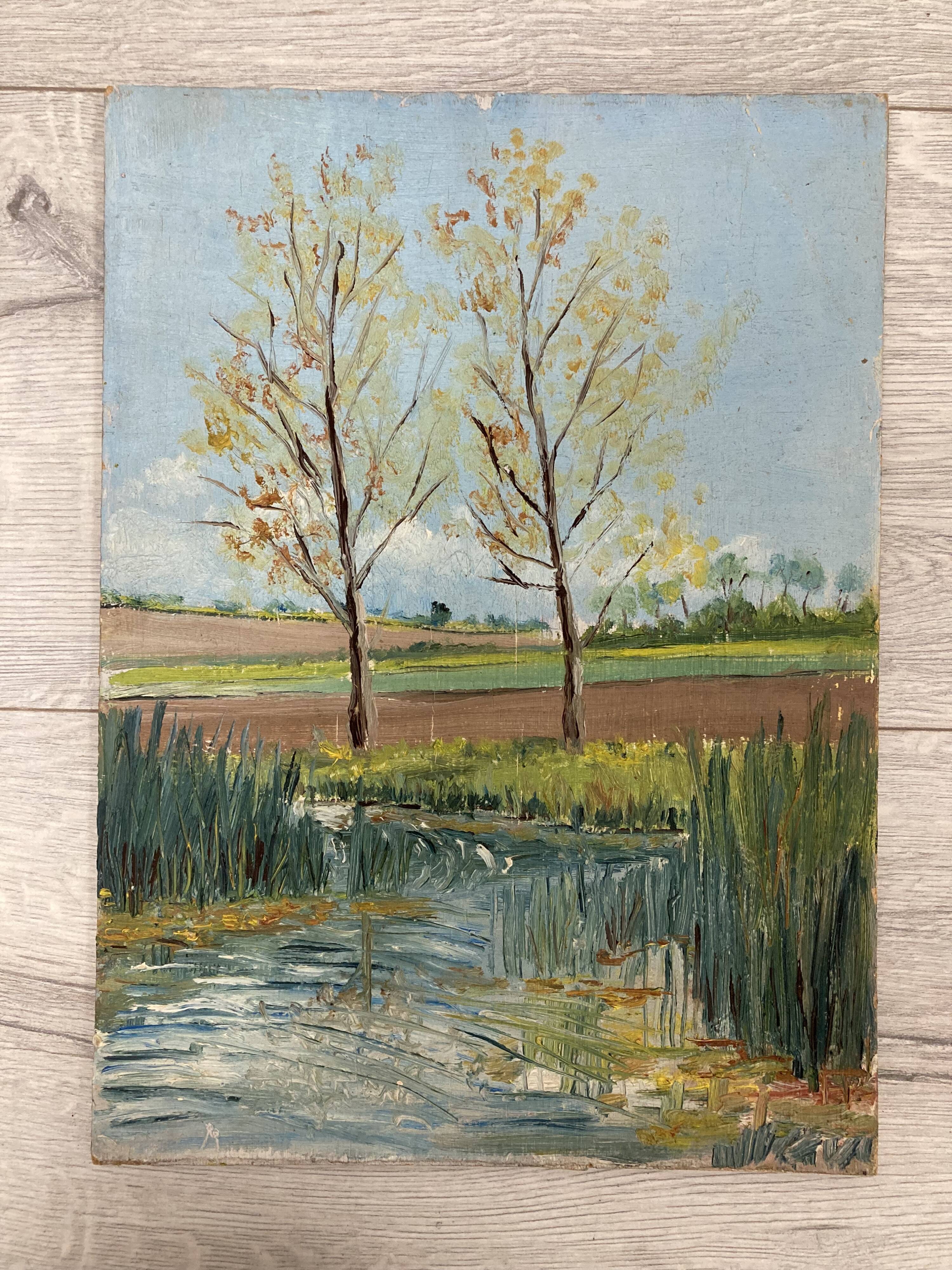 Vintage poplar paint