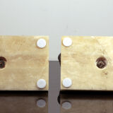 Greenhouse books cubist Irénée Rochard