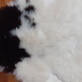 New sheepskin