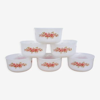 Set de 6 ramequins opaline motifs roses Arcopal vintage